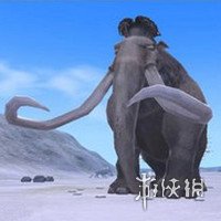 《创造与魔法手游》雪猛犸怎么获取