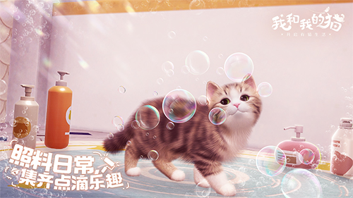 猫咪集结中 西山居休闲社交手游《我和我的猫》测试今日开启