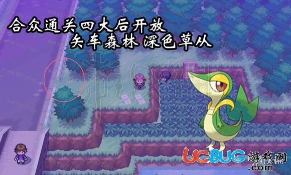 《pokemmo手游》藤藤蛇暖暖猪水水獭在哪