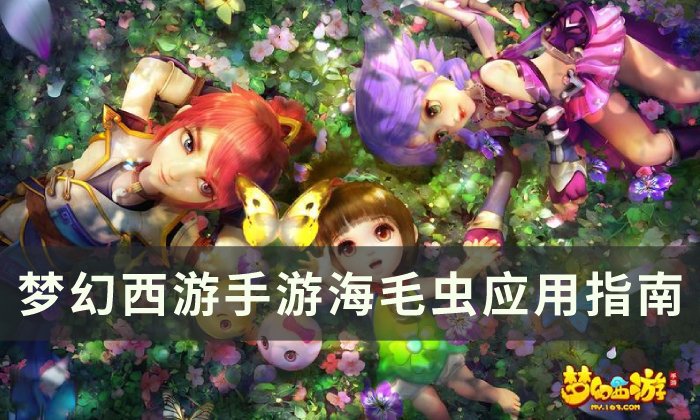 《梦幻西游手游》海毛虫怎么用 海毛虫应用指南