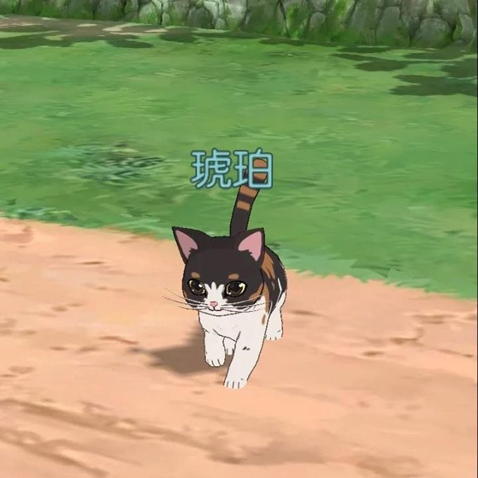 《小森生活》新版本——猫爪岛版本评测