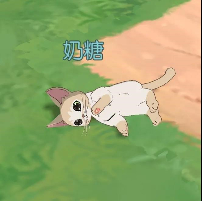 《小森生活》新版本——猫爪岛版本评测