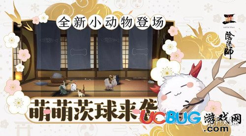 《阴阳师手游》全新小动物茨球怎么获得