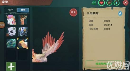 创造与魔法鹦鹉饲料怎么做-创造与魔法鹦鹉饲料配方介绍