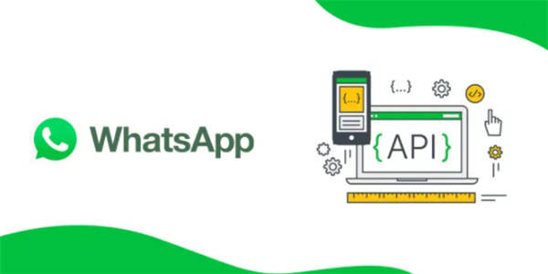 whatsapp怎么退出登录账号