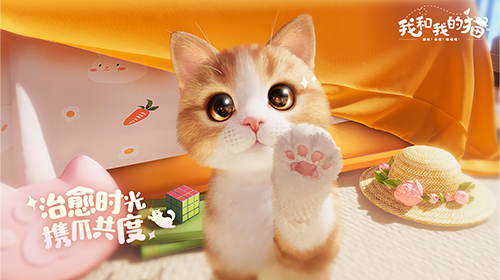 治愈系猫咪养成手游《我和我的猫》4月26日开启测试