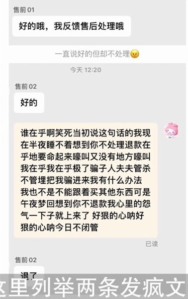 发疯文学是什么意思