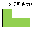 冬瓜出处怪物及食材菜谱配方