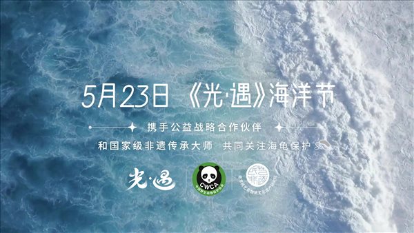 聚焦海龟公益 珍藏美好相遇|《光·遇》520发布