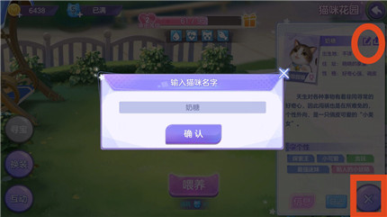 喵与筑猫咪名字怎么改-喵与筑猫咪改名字方法介绍