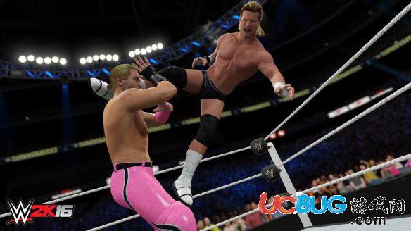 《WWE2K16》PC版招式技能及出招表一览