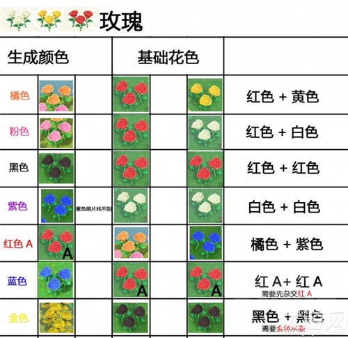 动物森友会花卉怎么种植-杂交花颜色配方与种植技巧介绍