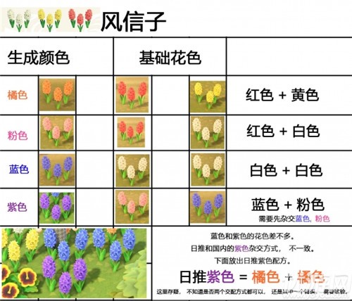 动物森友会花卉怎么种植-杂交花颜色配方与种植技巧介绍