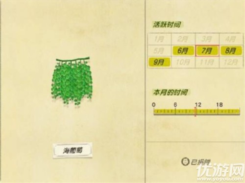 动物之森海洋生物图鉴大全-动物之森海洋生物价格及出现时间汇总