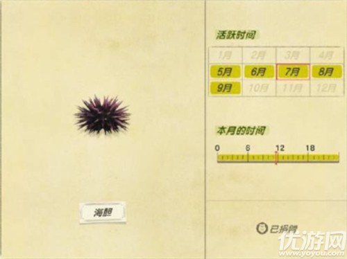 动物之森海洋生物图鉴大全-动物之森海洋生物价格及出现时间汇总