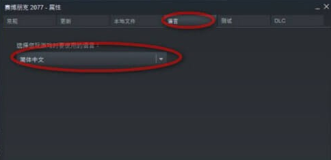 赛博朋克2077怎么设置中文语音-中文语音设置攻略
