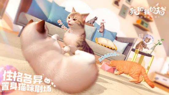 《我和我的猫》以猫咪养成为主题的休闲手游