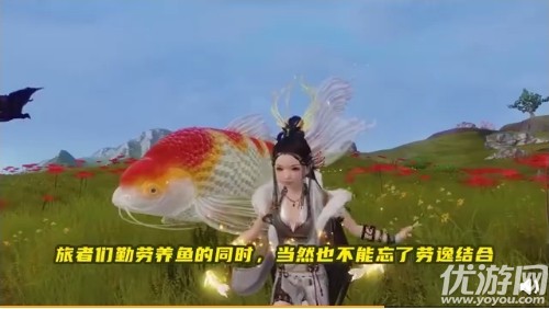 妄想山海锦鲤活动怎么玩-妄想山海锦鲤活动玩法攻略