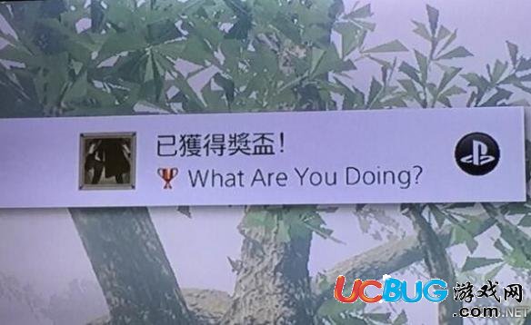 《尼尔机械纪元》What are you doing奖杯怎么获得？