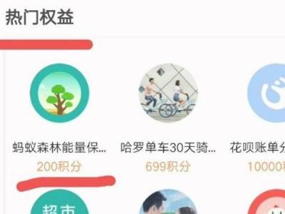 支付宝蚂蚁森林能量保护罩在哪里