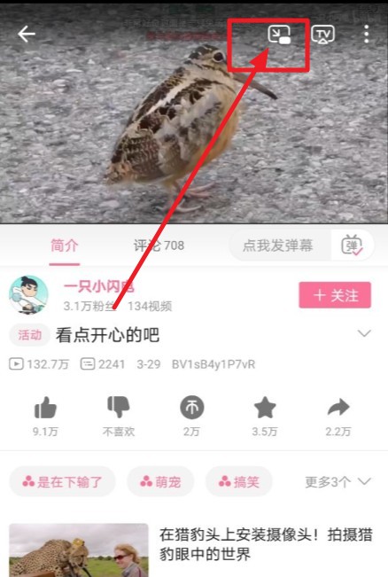 教你哔哩哔哩窗口模式怎么开