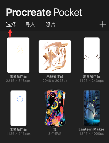 procreate 英语