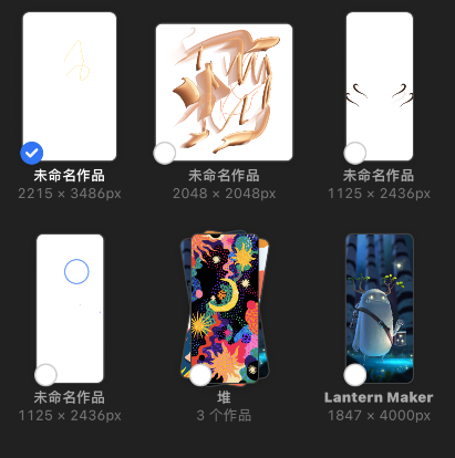 procreate 英语