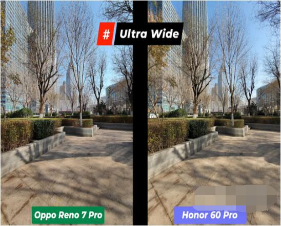 reno6pro和reno6pro+拍照