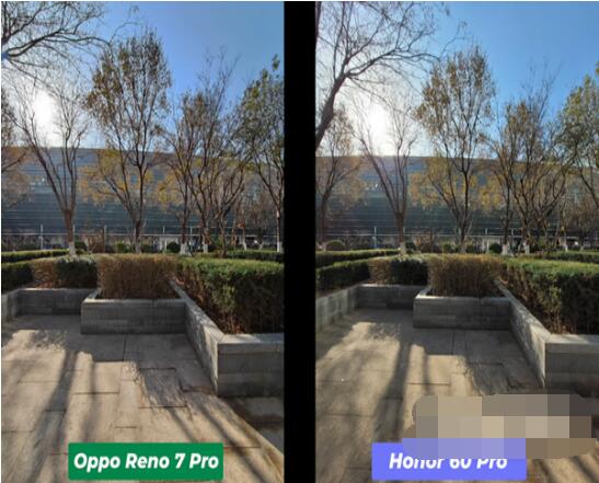 reno6pro和reno6pro+拍照