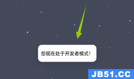 coloros 开发者选项