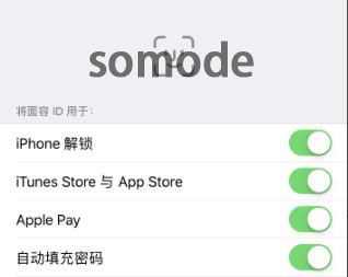 ios14面部识别不出为什么