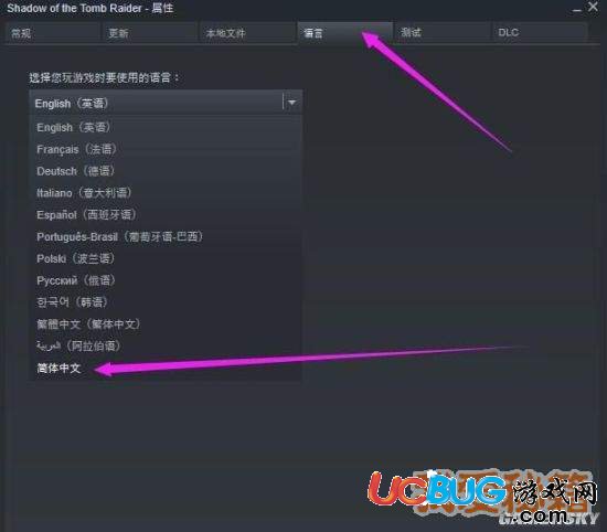 《古墓丽影暗影》游戏怎么设置中文