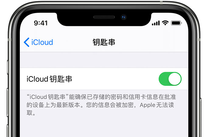 打开icloud钥匙串