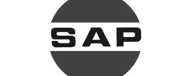 sap logon是什么软件用来做什么用的