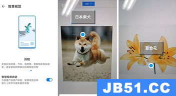 荣耀30智慧视觉怎么用
