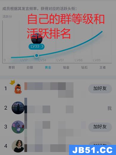 如何查看自己在qq群里的等级
