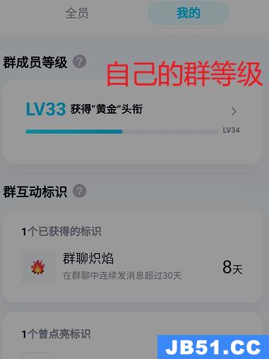如何查看自己在qq群里的等级