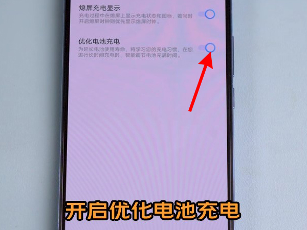 vivo 优化电池充电