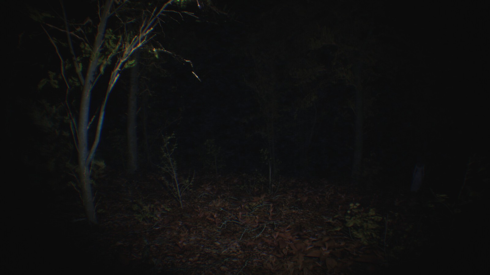 P.T.风格虚幻5恐怖游戏新作《灵异传说》上架Steam！