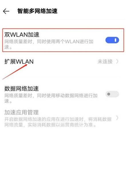 真我gt支持双wifi