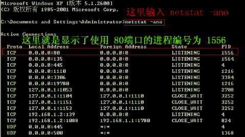 如何查看计算机端口的占用情况信息