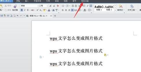 wps怎么把文字变成格式