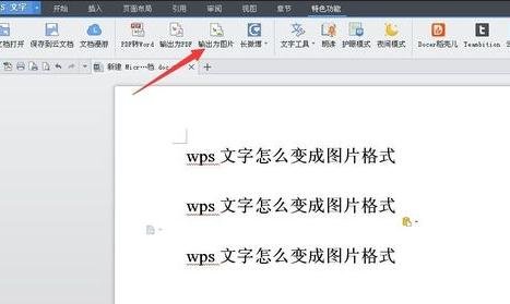 wps怎么把文字变成格式