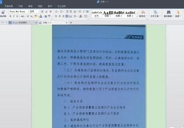 怎么用wps识别中文字