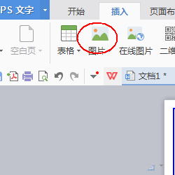 wps制作简历教程