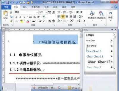 word2010样式窗口