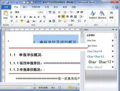 word2010样式窗口