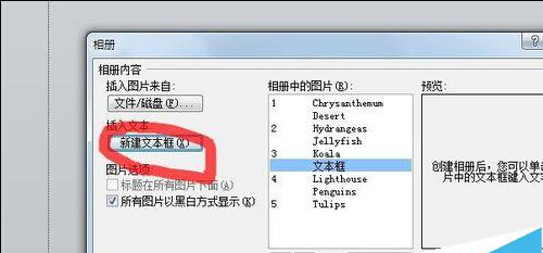 ppt2010批量导入照片的图文教程怎么做