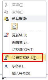 word2010自定义页码格式