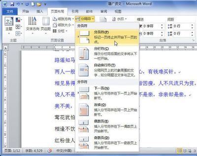 word2010如何添加分页符